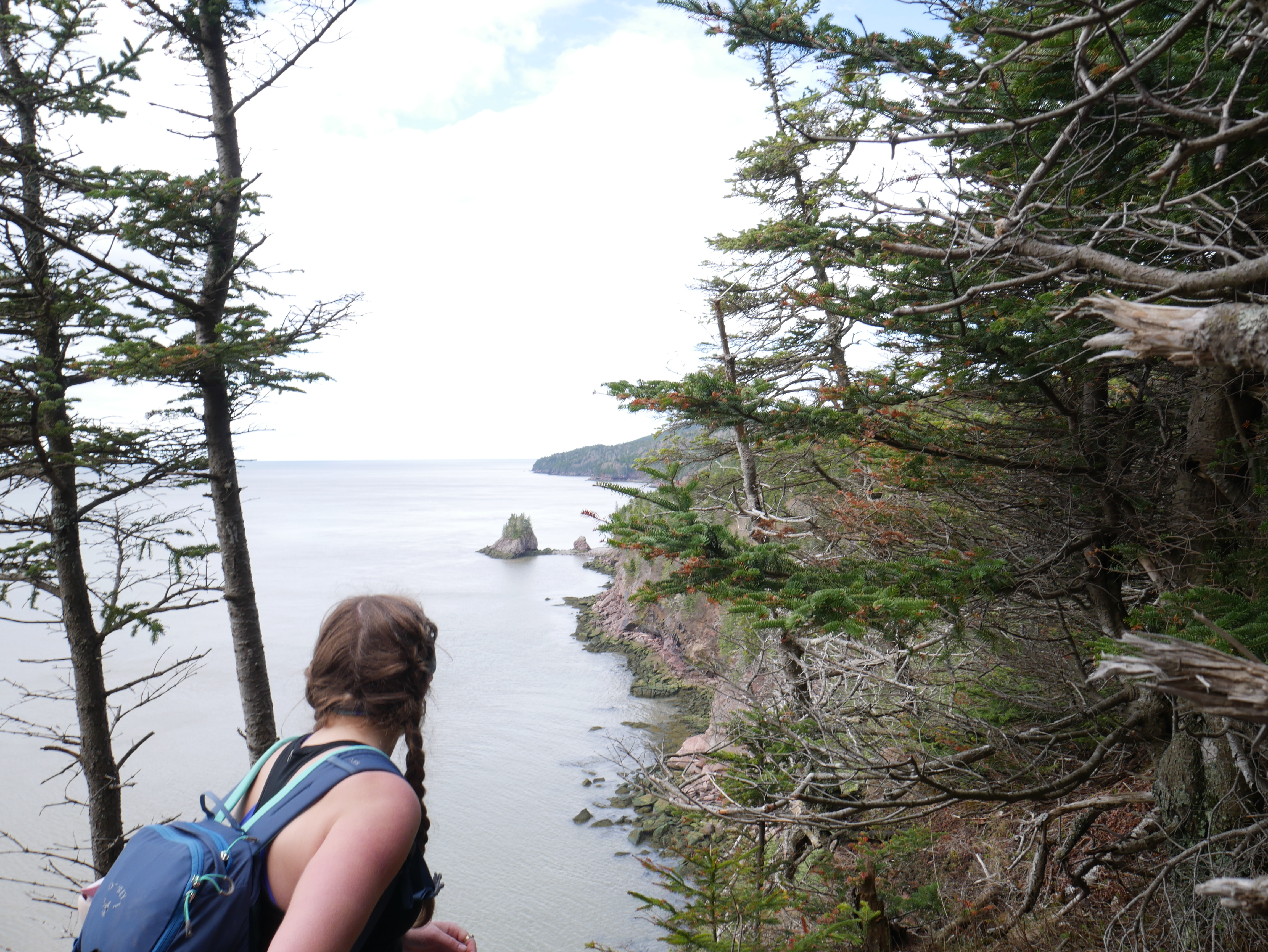 taylor in fundy